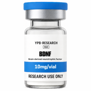 BDNF (Brain-derived neurotrophic factor) (10mg) research vial – YourPeptideBrand.com – for research use only