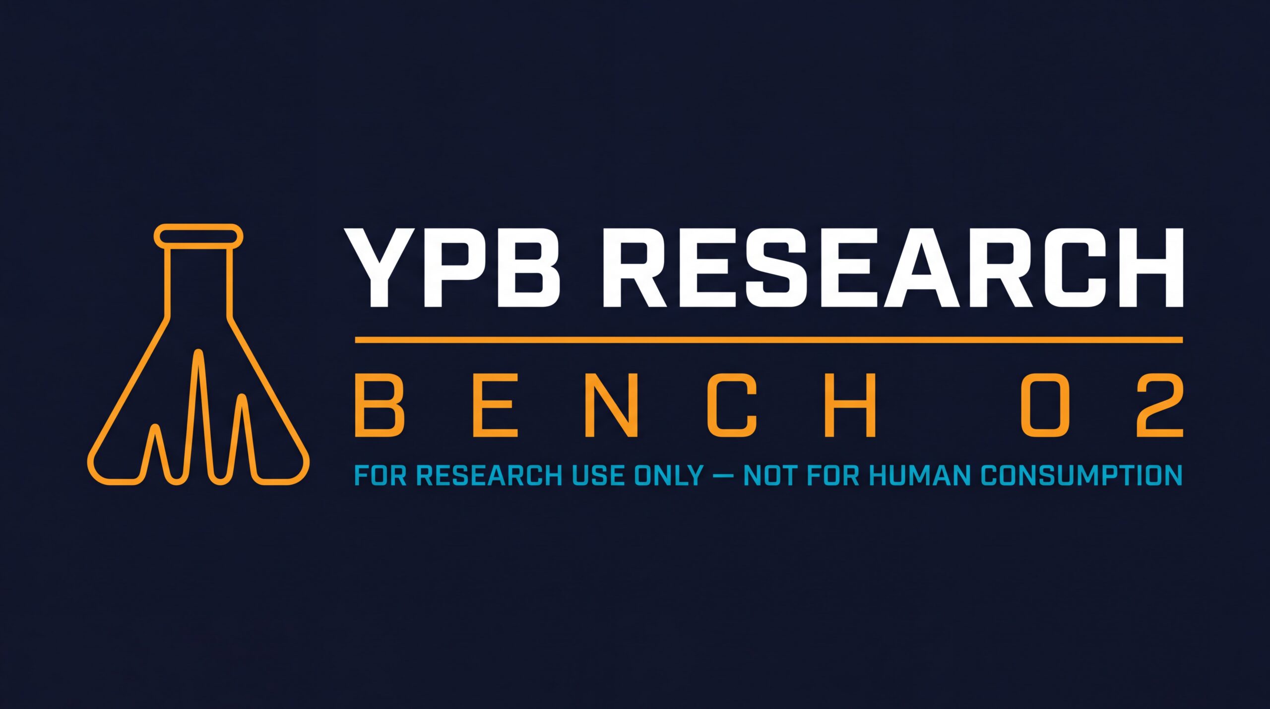 YPB Research — Bench 02